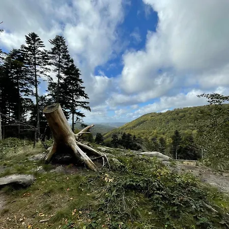 Διαμέρισμα Erlehof *